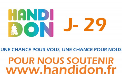 Décompte blog Handidon 2014 APF Loire-Atlantique-1.jpg