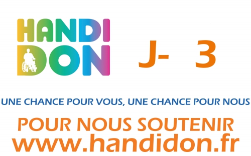 Décompte blog Handidon 2014 APF Loire-Atlantique.jpg