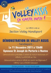 volley-Handisport.jpg