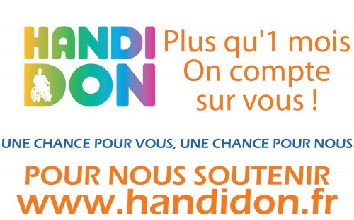 Décompte blog Handidon 2014 APF Loire-Atlantique copy.jpg