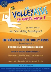 volley-Handisport2.jpg