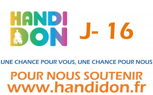 Décompte blog Handidon 2014 APF Loire-Atlantique-1.jpg